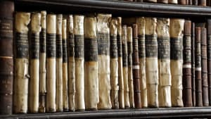 Treasures of the Archive | A Talk by Hertfordshire Archives and Local Studies 