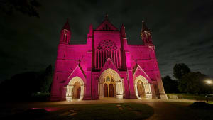 Cathedral turns pink for Organ Donation Week